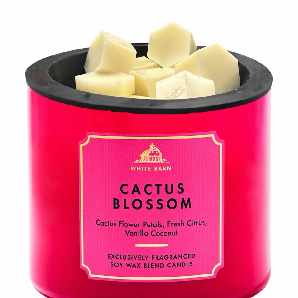 Wax Melts 4oz - Bath and Body Works - Cactus Blossom